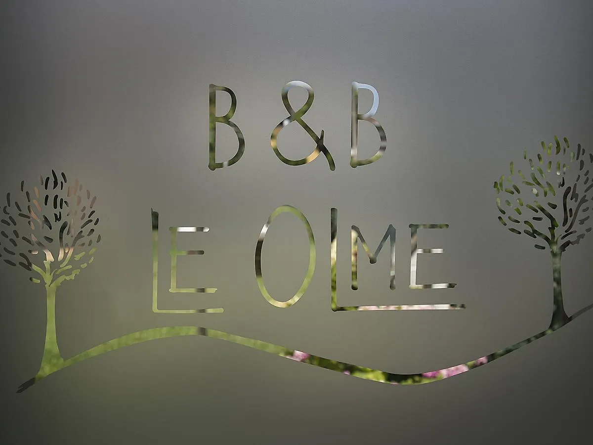 Bed & Breakfast B&B Le Olme Mogliano Veneto